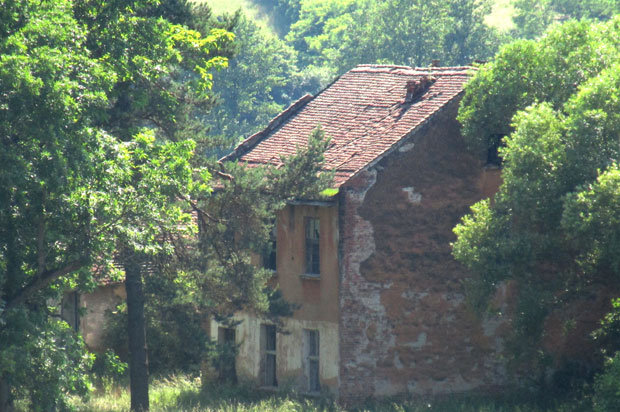Таковски грм чека дворац